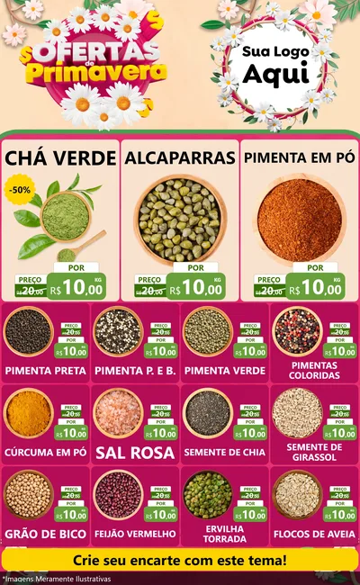 Modelo de Encarte para Encarte Grande com o tema Ofertas de Primavera para Produtos Naturais
