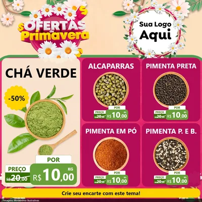 Modelo de Rede Social para Feed Facebook com o tema Ofertas de Primavera para Produtos Naturais