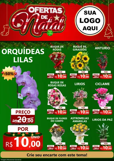 Modelo de Encarte para Encarte A4 Vertical com o tema Ofertas de Natal para Floricultura e jardim