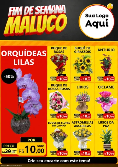 Modelo de Encarte para Encarte A4 Vertical com o tema Final de Semana Maluco para Floricultura e jardim