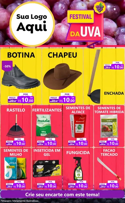 Modelo de Encarte para Encarte Grande com o tema Festival da Uva para Agropecuária