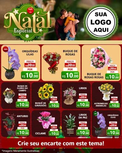 Modelo de Rede Social para Feed Instagram com o tema Natal Especial para Floricultura e jardim