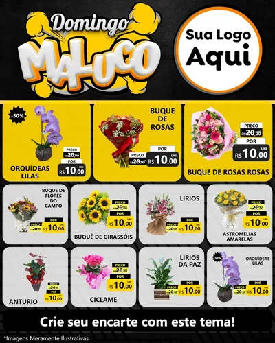 Modelo de Rede Social para Feed Instagram com o tema Domingo Maluco para Floricultura e jardim