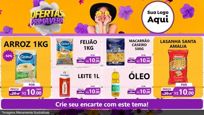 Modelo de TV para TV Horizontal com o tema Ofertas Da Primavera para Supermercado