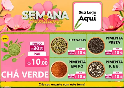 Modelo de Encarte para Encarte A4 Horizontal com o tema Semana da Primavera para Produtos Naturais