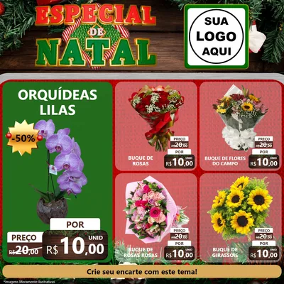 Modelo de Rede Social para Feed Facebook com o tema Especial de Natal para Floricultura e jardim