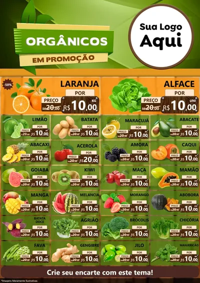 Modelo de Encarte para Encarte A4 Vertical com o tema Orgânicos em Promoção para Hortifrúti