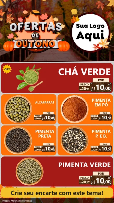 Modelo de TV para TV Vertical com o tema Ofertas de Outono para Produtos Naturais