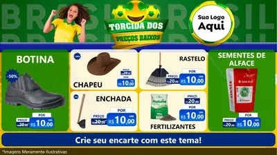 Modelo de TV para TV Horizontal com o tema Torcida dos Preços Baixos - Copa para Agropecuária