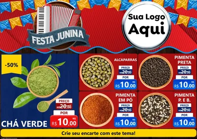 Modelo de Encarte para Encarte A4 Horizontal com o tema Festa Junina para Produtos Naturais