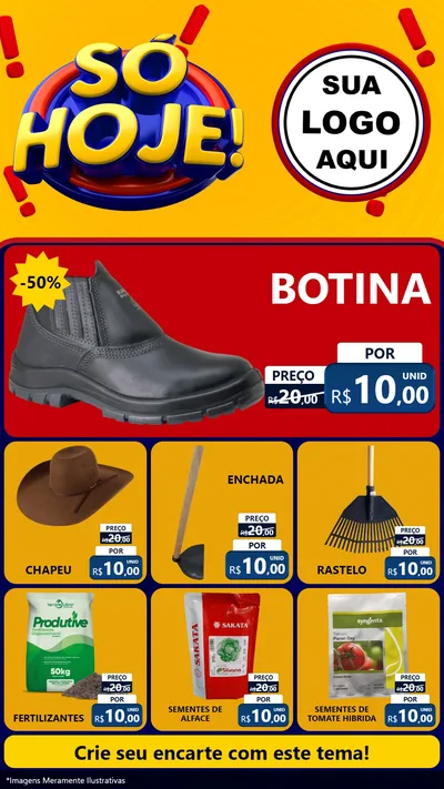 Modelo de Rede Social para Stories com o tema Só Hoje! para Agropecuária