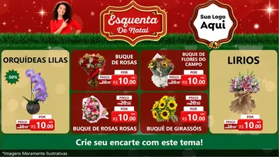 Modelo de TV para TV Horizontal com o tema Esquenta de Natal para Floricultura e jardim