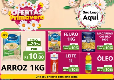 Modelo de Encarte para Encarte A4 Horizontal com o tema Ofertas de Primavera para Supermercado