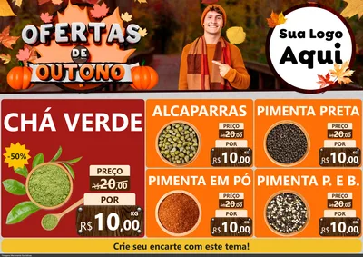 Modelo de Encarte para Encarte A4 Horizontal com o tema Ofertas de Outono para Produtos Naturais