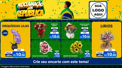 Modelo de TV para TV Horizontal com o tema Proclamação da República para Floricultura e jardim