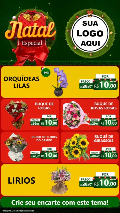 Modelo de TV para TV Vertical com o tema Natal Especial para Floricultura e jardim