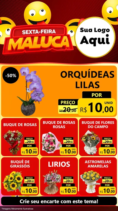 Modelo de Rede Social para Stories com o tema Sexta-feira Maluca para Floricultura e jardim