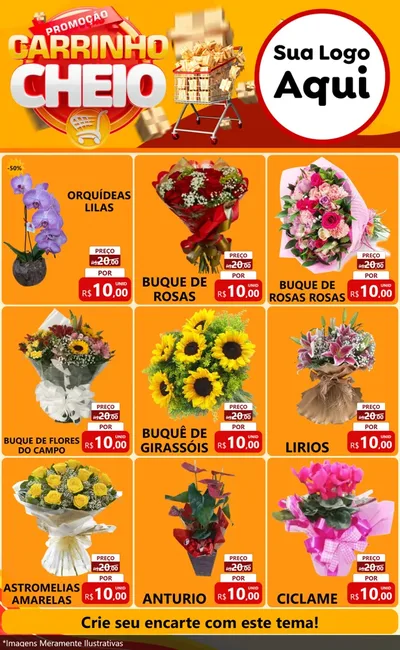 Modelo de Encarte para Encarte Grande com o tema Promoção carrinho cheio para Floricultura e jardim