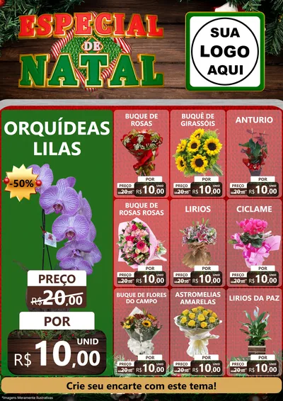 Modelo de Encarte para Encarte A4 Vertical com o tema Especial de Natal para Floricultura e jardim