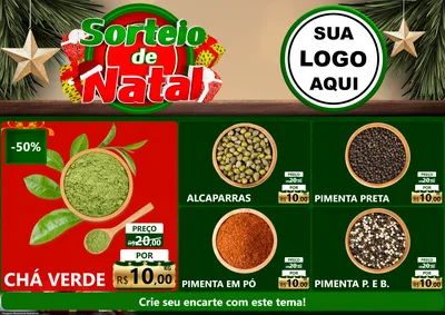 Modelo de Encarte para Encarte A4 Horizontal com o tema Sorteio de Natal para Produtos Naturais