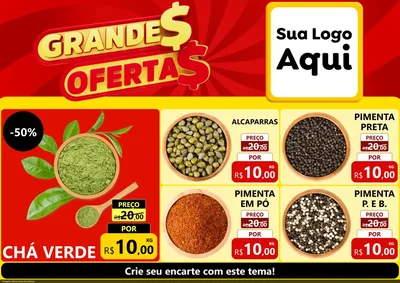 Modelo de Encarte para Encarte A4 Horizontal com o tema Grandes Ofertas para Produtos Naturais