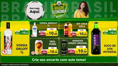 Modelo de TV para TV Horizontal com o tema Seleção de Economia - Copa para Distribuidora de bebidas