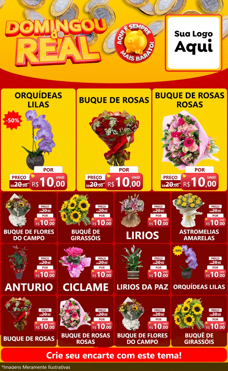 Modelo de Encarte para Encarte Grande com o tema Domingou do Real para Floricultura e jardim