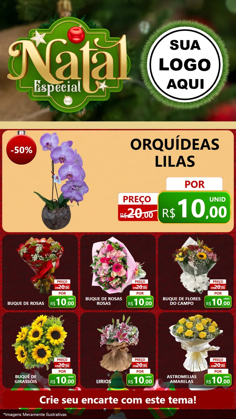Modelo de Rede Social para Stories com o tema Natal Especial para Floricultura e jardim