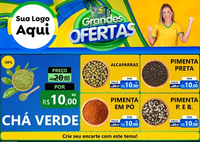 Modelo de Encarte para Encarte A4 Horizontal com o tema Grandes Ofertas para Produtos Naturais