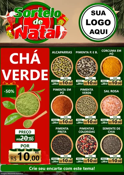 Modelo de Encarte para Encarte A4 Vertical com o tema Sorteio de Natal para Produtos Naturais