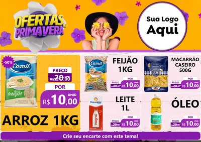 Modelo de Encarte para Encarte A4 Horizontal com o tema Ofertas Da Primavera para Supermercado