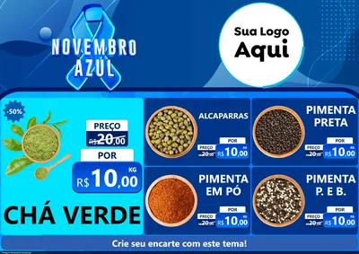 Modelo de Encarte para Encarte A4 Horizontal com o tema Novembro Azul para Produtos Naturais