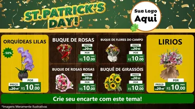 Modelo de TV para TV Horizontal com o tema St Patriks Day para Floricultura e jardim