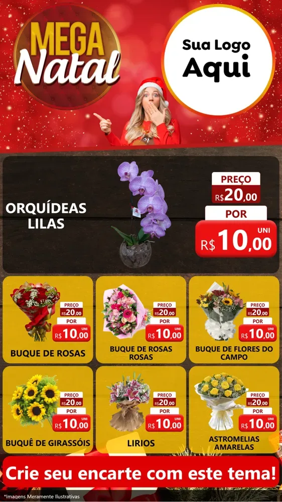 Modelo de Rede Social para Stories com o tema Mega Natal para Floricultura e jardim