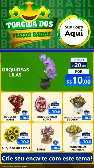 Modelo de Rede Social para Stories com o tema Torcida dos Preços Baixos - Copa para Floricultura e jardim