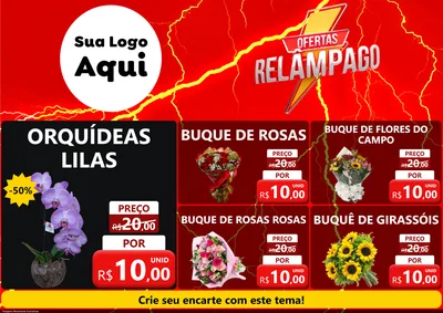 Modelo de Encarte para Encarte A4 Horizontal com o tema Ofertas Relâmpago para Floricultura e jardim