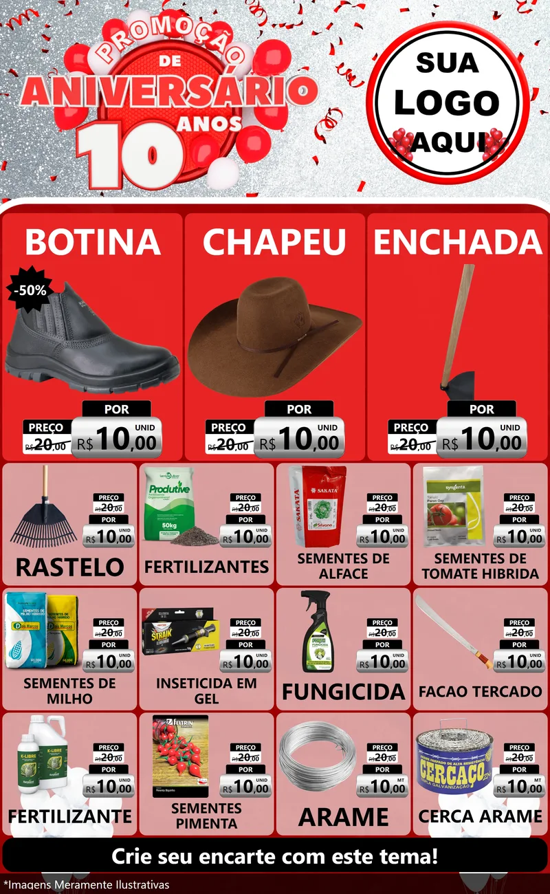 Modelo de Encarte para Encarte Grande com o tema Promoção de Aniversário - 10 Anos para Agropecuária