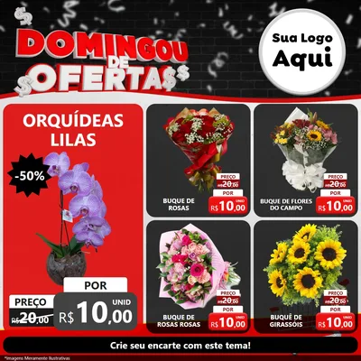 Modelo de Rede Social para Feed Facebook com o tema Domingou de Ofertas para Floricultura e jardim
