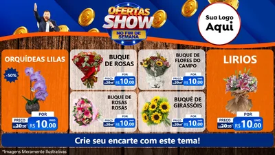 Modelo de TV para TV Horizontal com o tema Ofertas Show No Fim De Semana para Floricultura e jardim