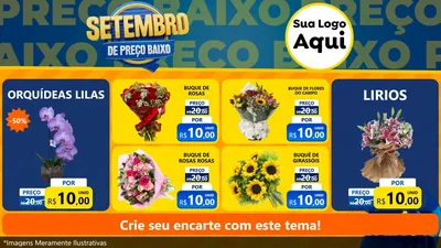 Modelo de TV para TV Horizontal com o tema Setembro De Preço Baixo para Floricultura e jardim