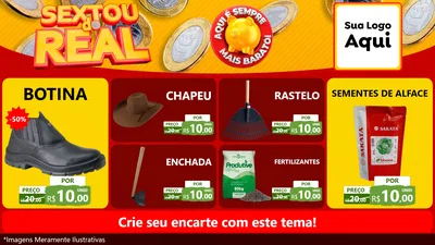 Modelo de TV para TV Horizontal com o tema Sextou do Real para Agropecuária