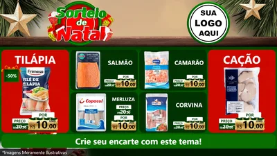 Modelo de TV para TV Horizontal com o tema Sorteio de Natal para Peixaria