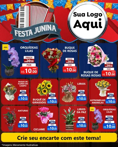 Modelo de Rede Social para Feed Instagram com o tema Festa Junina para Floricultura e jardim