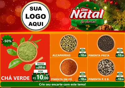 Modelo de Encarte para Encarte A4 Horizontal com o tema Um Natal de Ofertas para Produtos Naturais