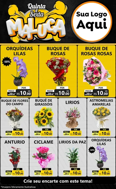 Modelo de Encarte para Encarte Grande com o tema Quinta e Sexta Maluca para Floricultura e jardim