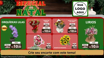 Modelo de TV para TV Horizontal com o tema Especial de Natal para Floricultura e jardim