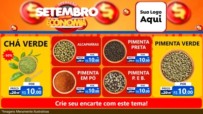 Modelo de TV para TV Horizontal com o tema Operação Setembro Com Muita Economia para Produtos Naturais