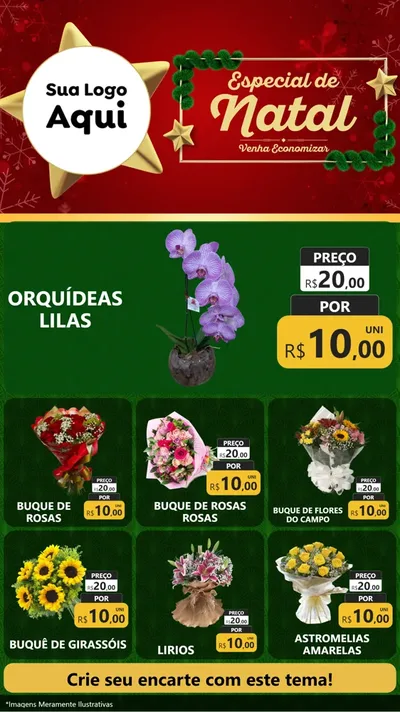 Modelo de Rede Social para Stories com o tema Especial de Natal para Floricultura e jardim