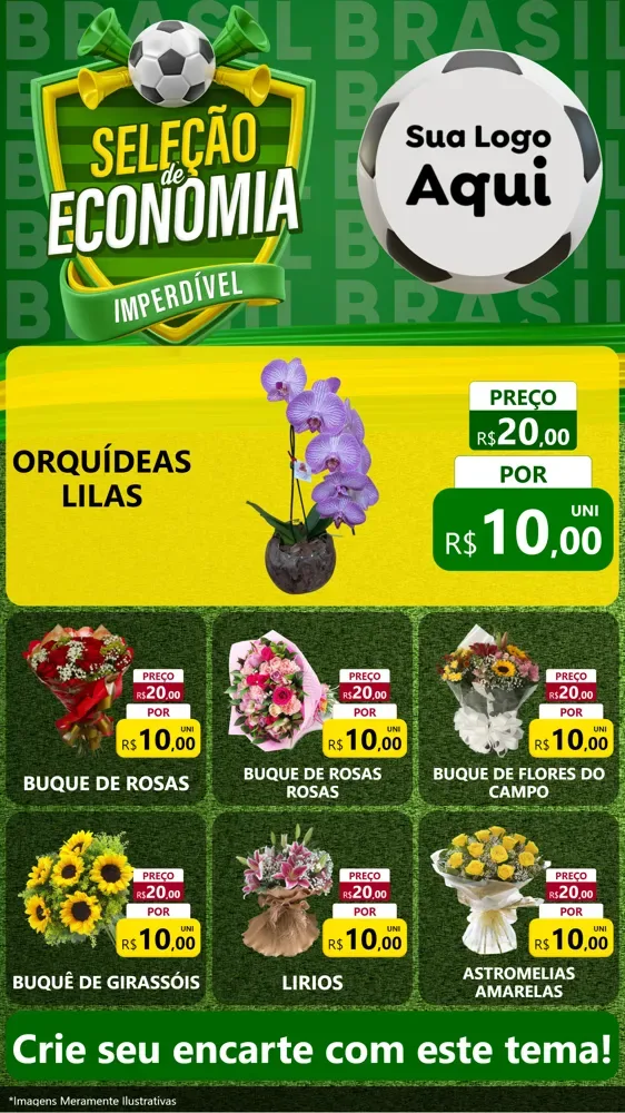 Modelo de Rede Social para Stories com o tema Seleção de Economia - Copa para Floricultura e jardim