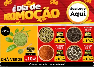 Modelo de Encarte para Encarte A4 Horizontal com o tema É Dia De Promoção para Produtos Naturais